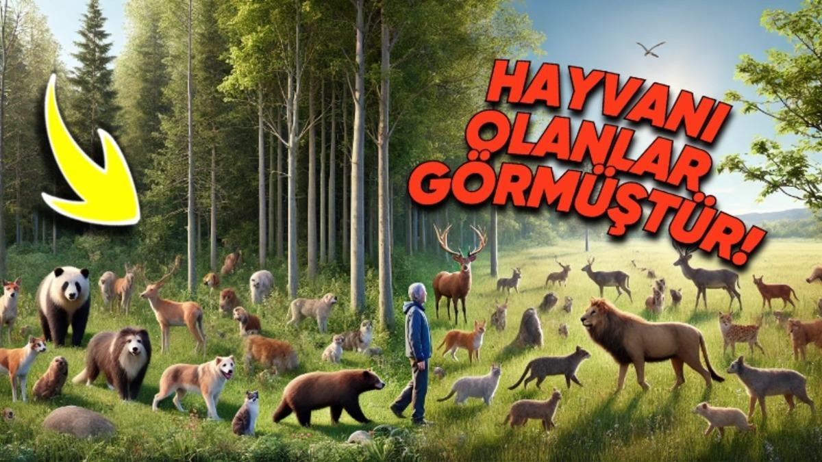 Tüm Memelilerde Olup İnsanlarda Olmayan Şeyin Ne Olduğunu Öğrenince ’Keşke Bizde de Olsaymış!’ Diyebilirsiniz