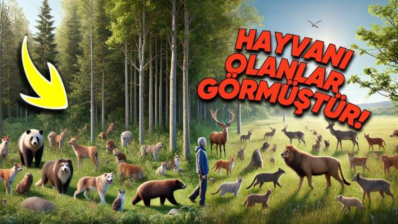 Tüm Memelilerde Olup İnsanlarda Olmayan Şeyin Ne Olduğunu Öğrenince ’Keşke Bizde de Olsaymış!’ Diyebilirsiniz