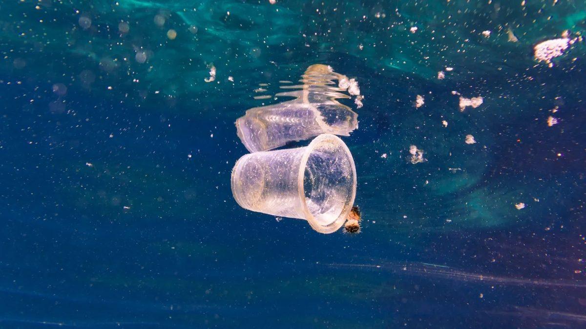 Bilim İnsanları, İçme Sularından Mikroplastikleri Temizlemenin Oldukça Kolay Bir Yolunu Keşfetti
