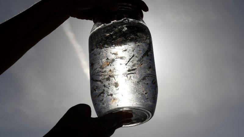 Bilim İnsanları, İçme Sularından Mikroplastikleri Temizlemenin Oldukça Kolay Bir Yolunu Keşfetti