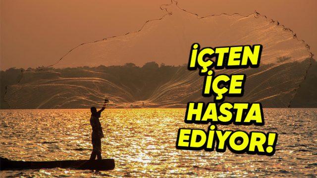 Dünya’nın En Ölümcül Gölü ’Victoria’ İle Tanışın: Peki Yüzenleri Yavaş Yavaş Öldürmesinin Sebebi Ne?