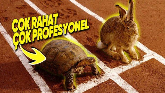 Kaplumbağalar Neden Ağır Çekimde Gibi Yavaş Hareket Ediyor? Haklı Sebepleri Varmış!