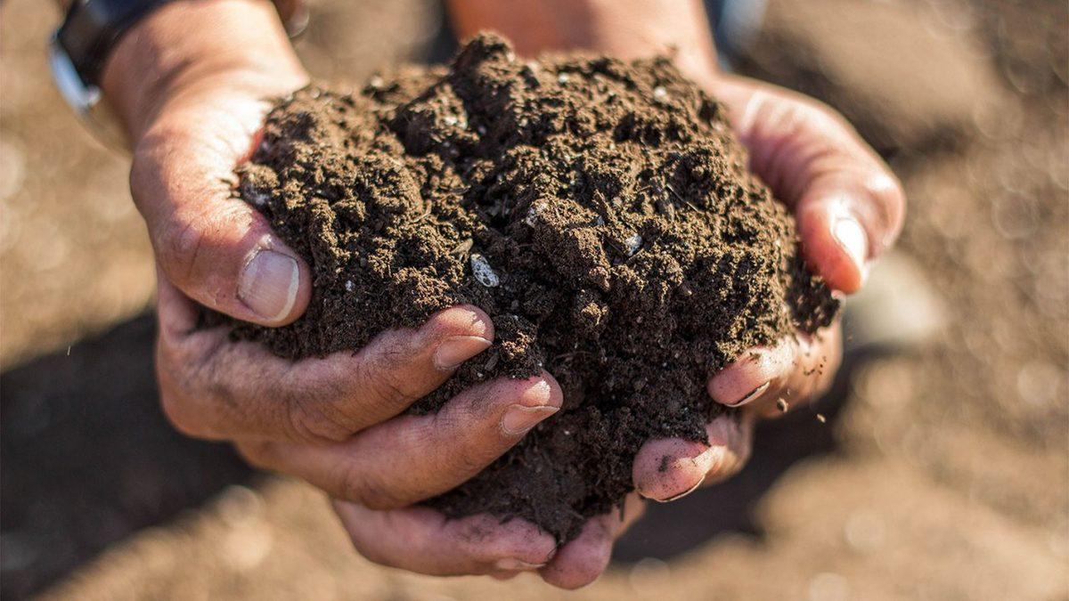 Toprakların Çoğu Neden Kahverengidir? İçindeki Maddelerle Bir İlgisi Var!