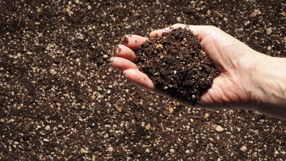 Toprakların Çoğu Neden Kahverengidir? İçindeki Maddelerle Bir İlgisi Var!
