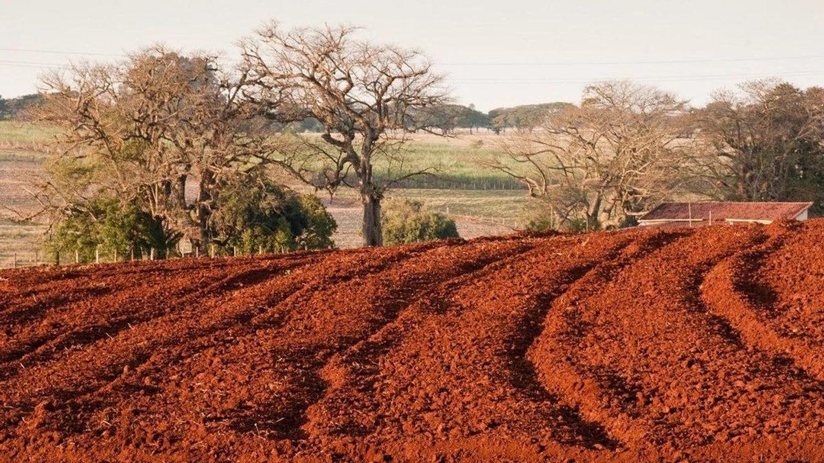 Toprakların Çoğu Neden Kahverengidir? İçindeki Maddelerle Bir İlgisi Var!