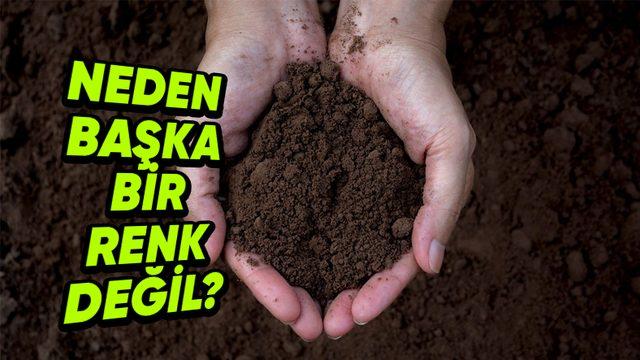 Toprakların Çoğu Neden Kahverengidir? İçindeki Maddelerle Bir İlgisi Var!
