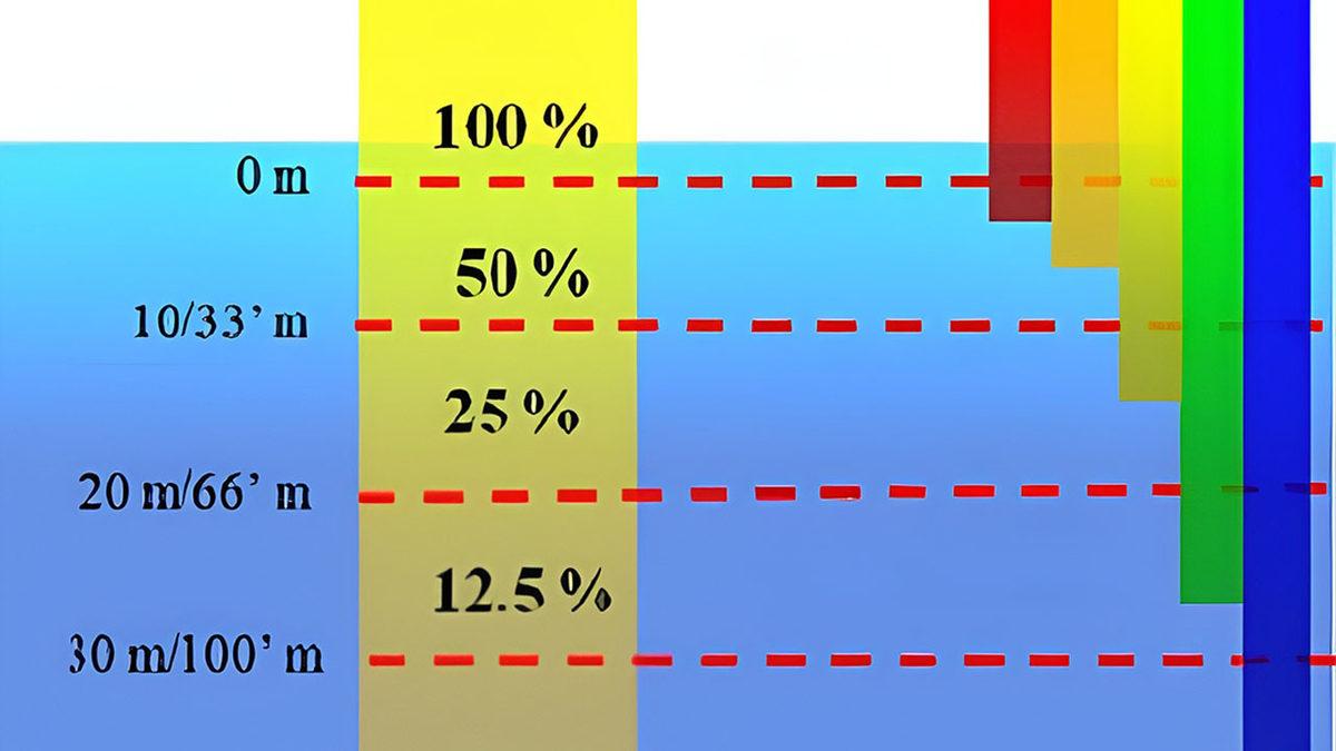 Suyun Derinliklerine İndikçe Nesnelerin Rengi Neden Değişir? Bilimsel Sebebini Açıklıyoruz!