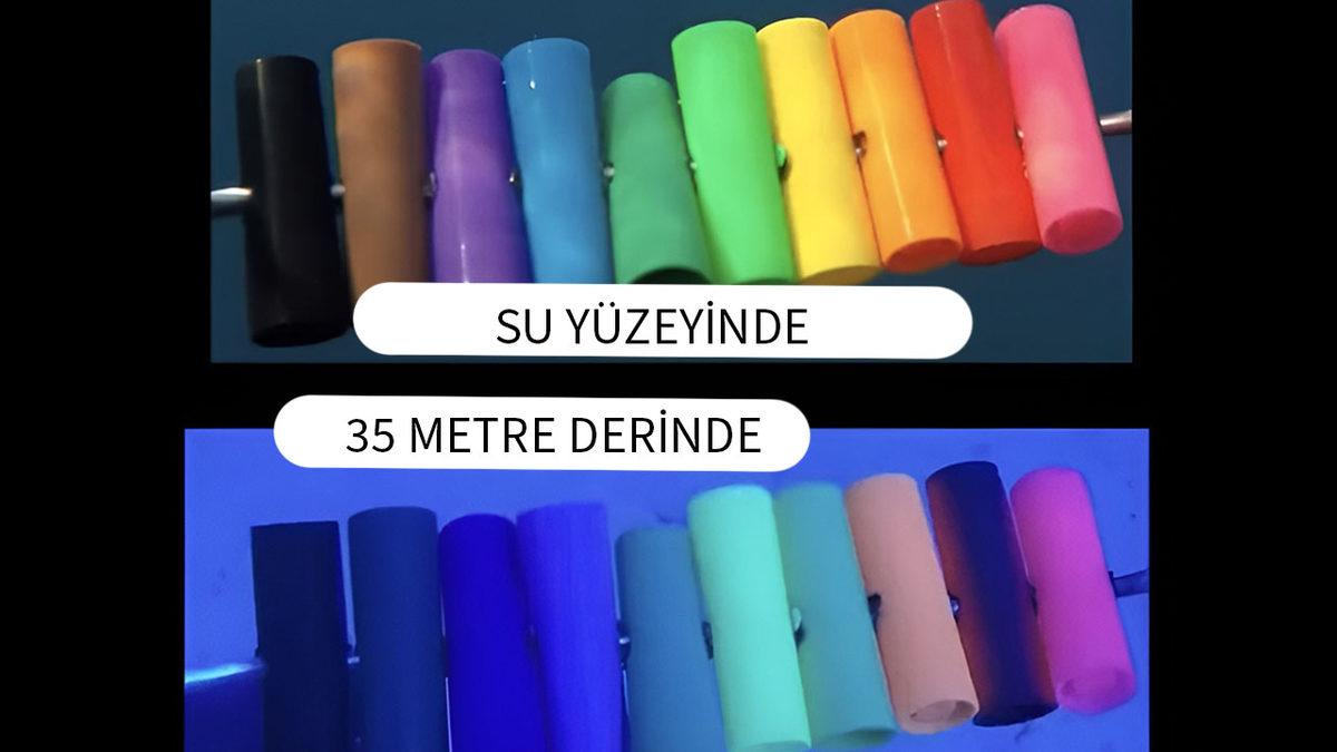 Suyun Derinliklerine İndikçe Nesnelerin Rengi Neden Değişir? Bilimsel Sebebini Açıklıyoruz!