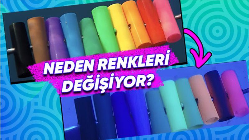 Suyun Derinliklerine İndikçe Nesnelerin Rengi Neden Değişir? Bilimsel Sebebini Açıklıyoruz!