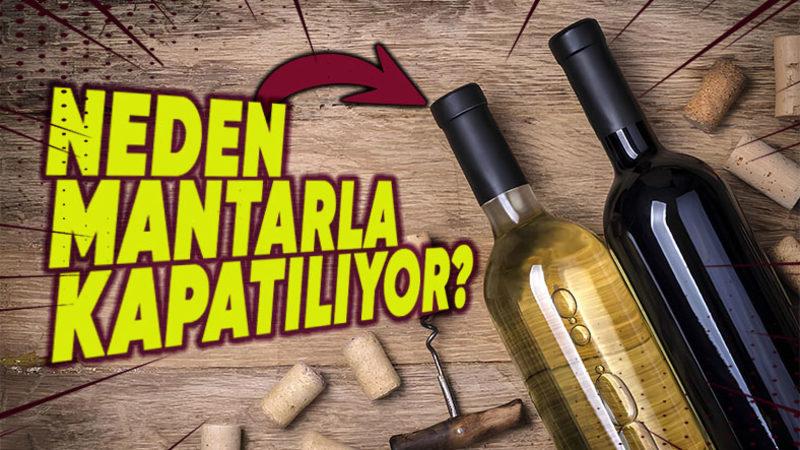 Şarap Şişelerinin Yüzyıllardır Mantarla Kapatılmasının Arkasındaki Bilimsel Sebepler