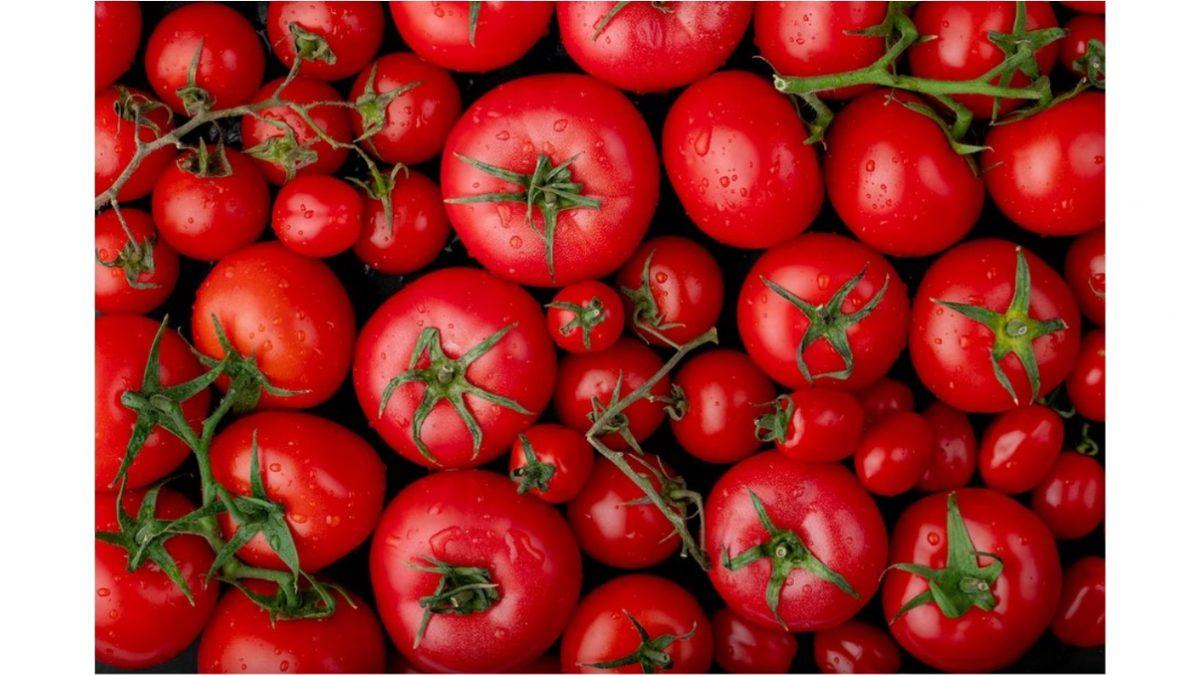 Avrupalılar Neden 200 Yıl Boyunca Domatesten Ölümüne Korktu? Üstelik Boş Yere!