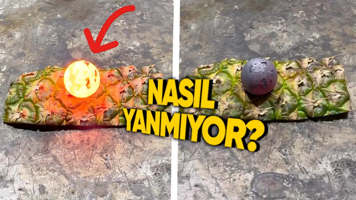 Ananas Kabuğu Nasıl Oluyor da 1.000 Derecelik Sıcaklıkta Bile Yanmıyor?