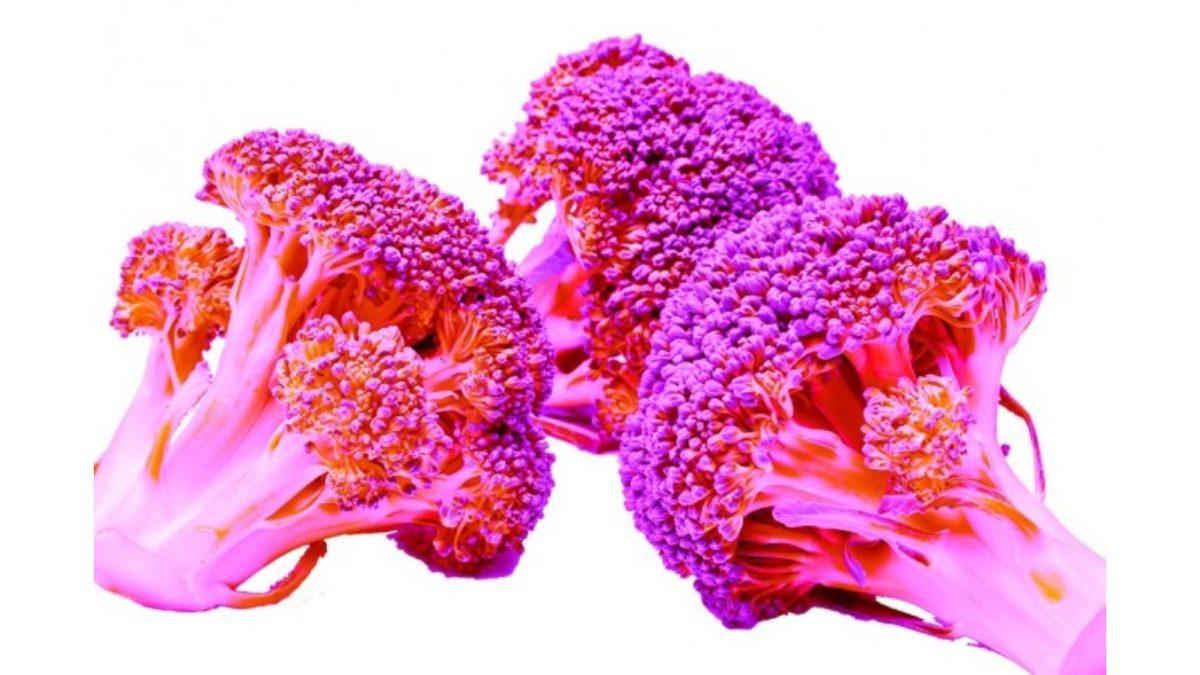 McDonald’s Bir Dönem Neden Brokolili Sakız Üretmeye Kalkıştı? Kulağa İğrenç Gelse de Amacı Güzelmiş!