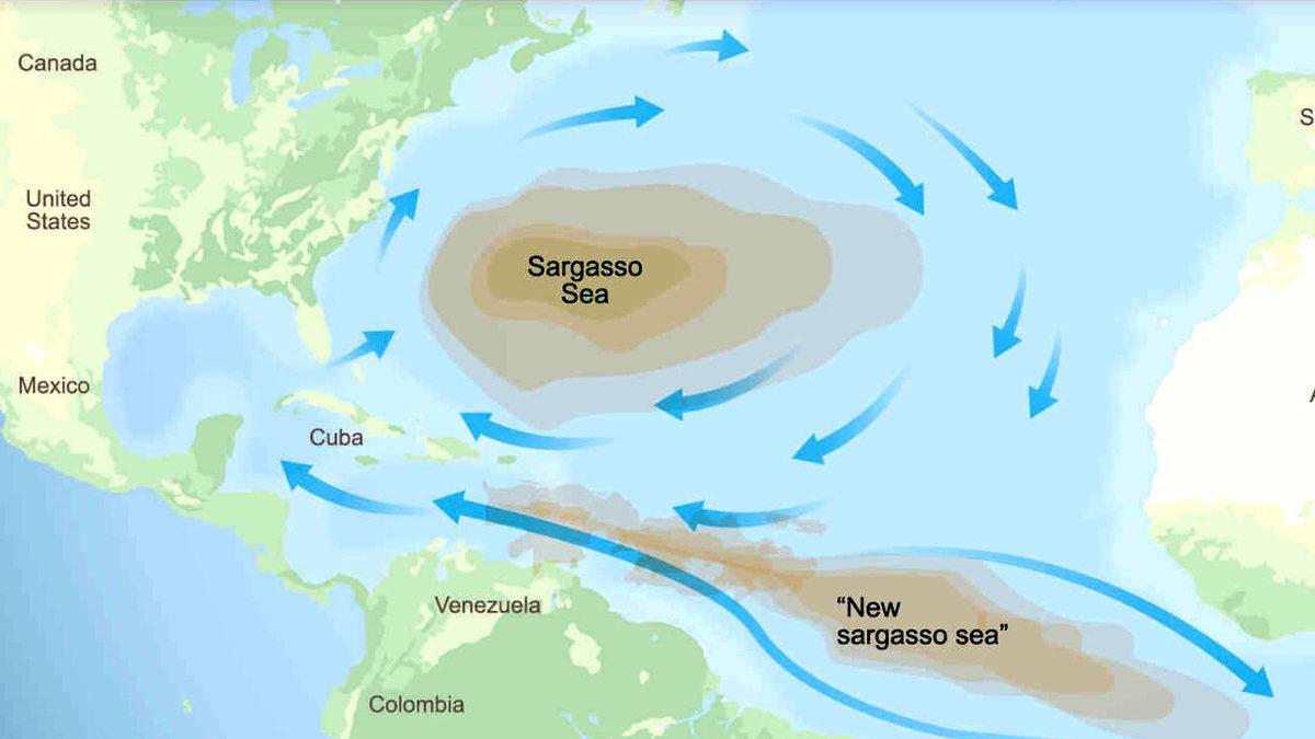 Atlantik Okyanusu’nun Batısında Bulunan Sargasso Denizi’nin Neden Sürekli Sınırları Değişiyor?
