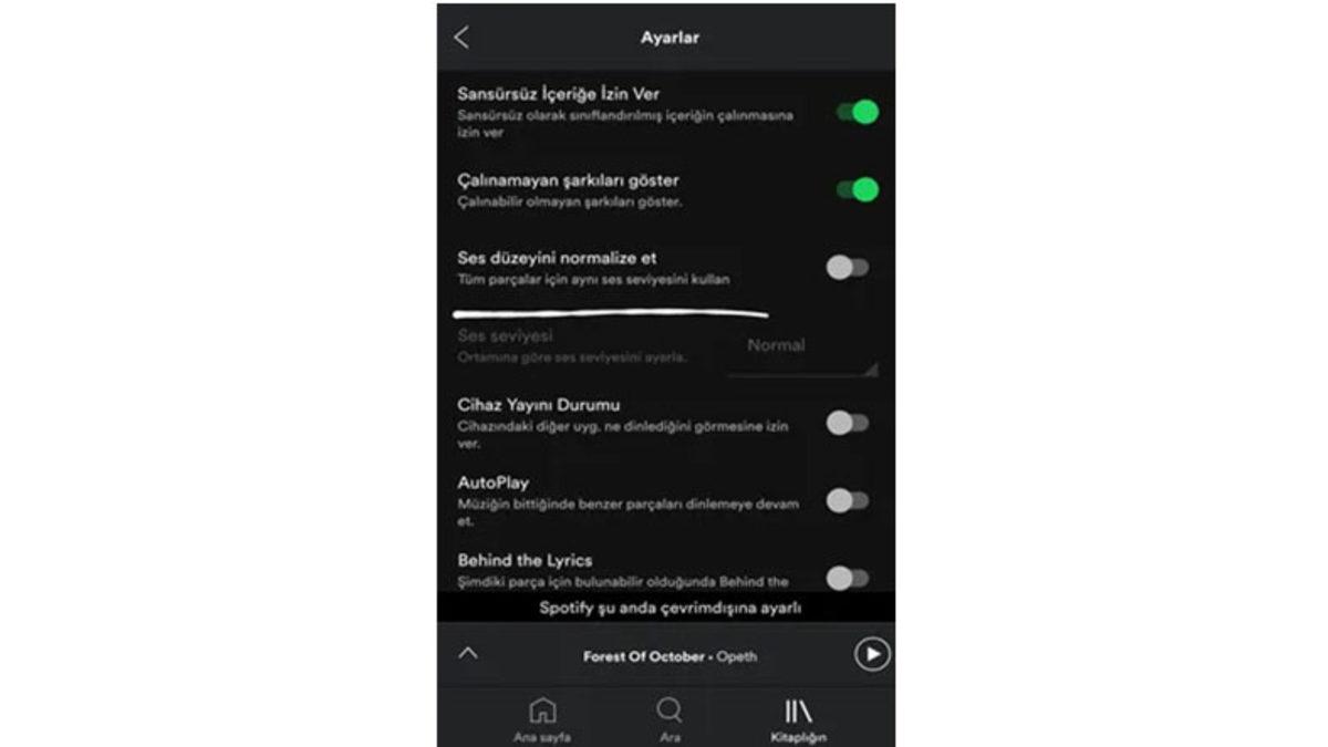 Spotify’da “Ses Normalleştirmeyi Etkinleştir” Seçeneğini Etkinleştirmek Daha İyi Bir Dinleme Deneyimi mi Sunuyor?