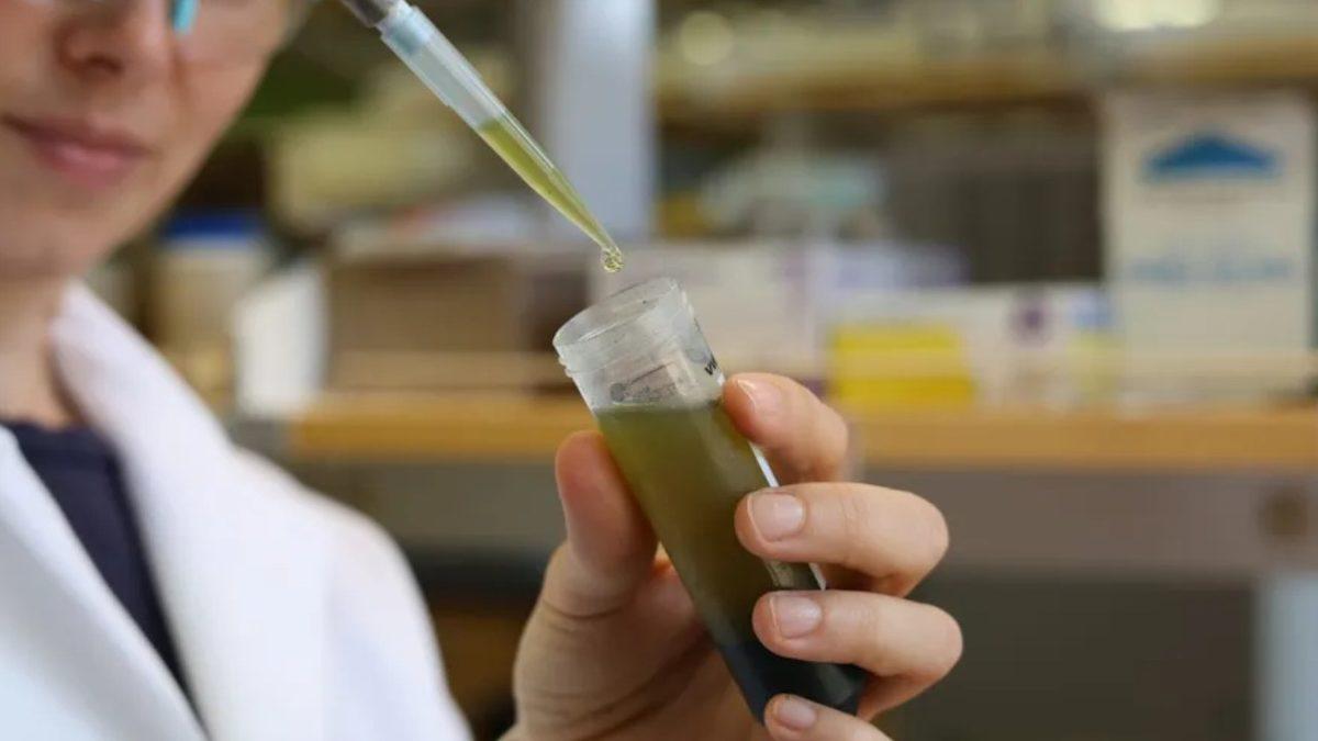 ’Sonsuza Kadar Varlığını Sürdüren’ Bir Kimyasal Olan PFAS İçin Ne Kadar Endişelenmeliyiz?