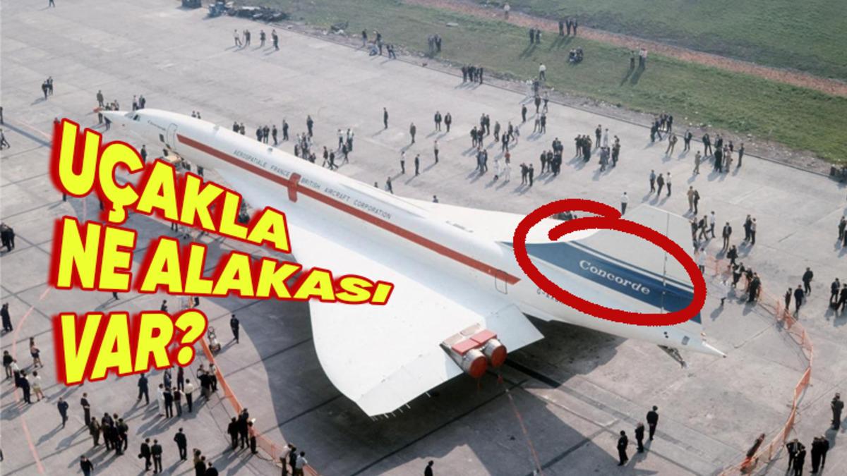 Bir Şeyin Zararlı Olduğunu Bildiğimiz Hâlde Neden Sırf Çok Emek Harcadık Diye Vazgeçemiyoruz?