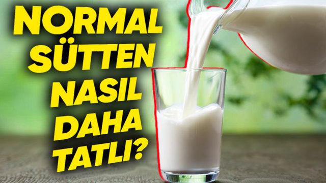 İçindeki Laktozun Ayrıştırılmasına Rağmen Neden Laktozsuz Sütün Tadı Normal Süte Göre Daha Şekerlidir?