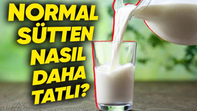 İçindeki Laktozun Ayrıştırılmasına Rağmen Neden Laktozsuz Sütün Tadı Normal Süte Göre Daha Şekerlidir?