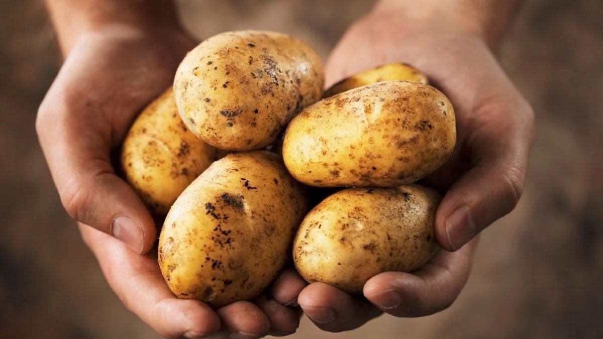 Tek Bir Yiyecekle Bir Ömür Geçirmek Mümkün mü? 1 Yıl Sadece Patatesle Beslenen Var!