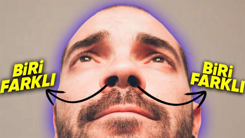 Bilime Göre Aslında İki Burun Deliğimiz de Farklı Kokuları Algılıyor! Peki Ama Nasıl?