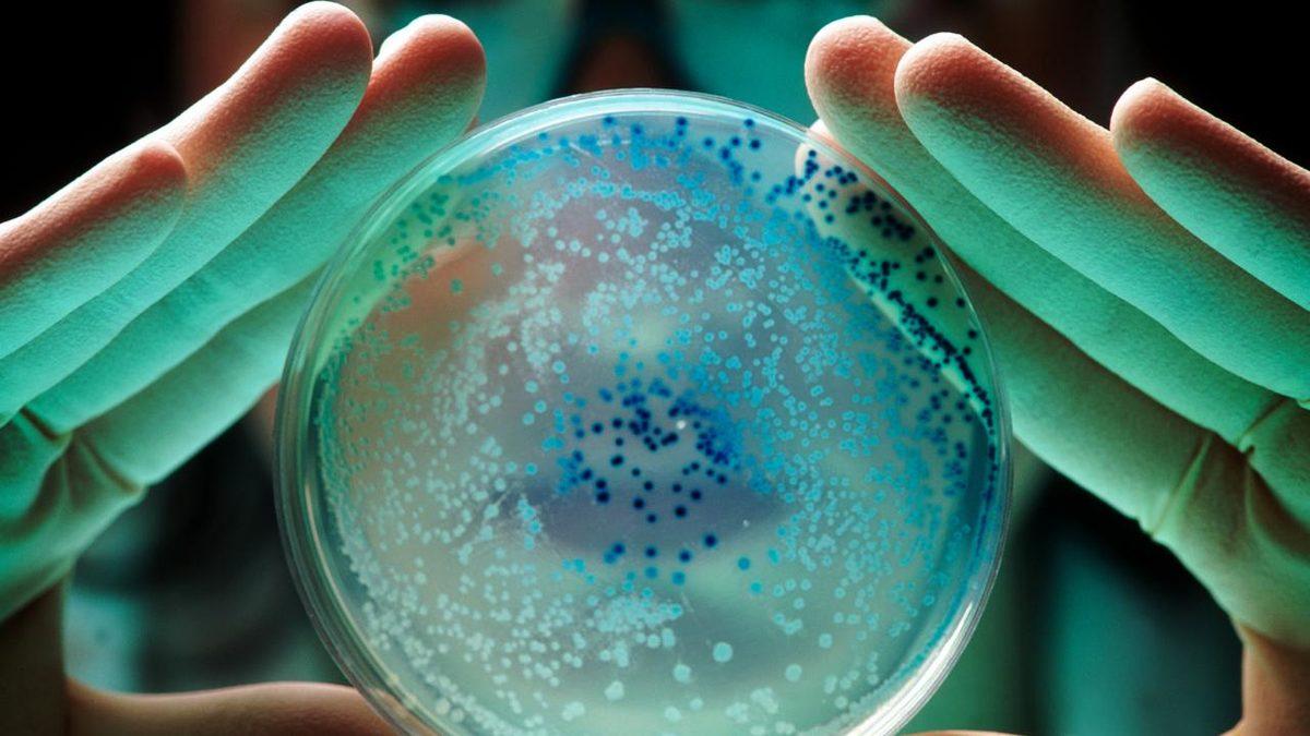 Derimizdeki Bakteri ve Mikropların Vücudumuzdaki Yararlarını Öğrenince Onlardan Nefret Edemeyeceksiniz!