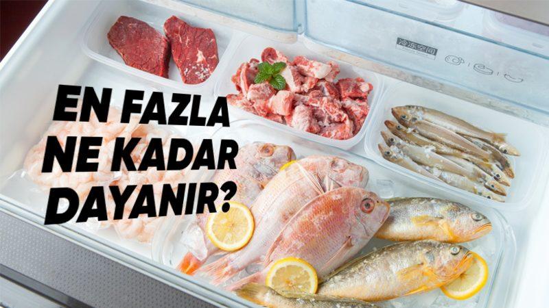 Dondurulmuş Gıdalar Bozulmadan En Fazla Ne Kadar Dayanabilir? Cevap Sizi Biraz Şaşırtacak