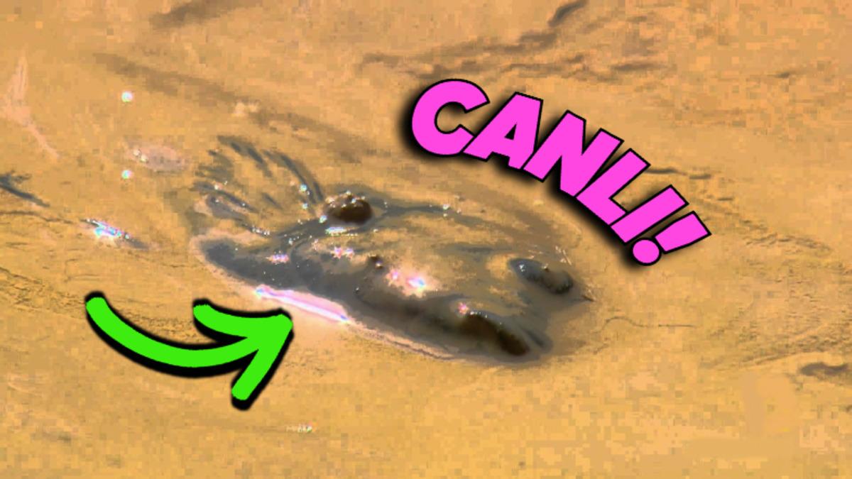 Afrika’da Kuru Topraktan Nasıl Oluyor da Canlı Balıklar Çıkıyor? Üstelik Yıllar Boyu Oradalarmış!