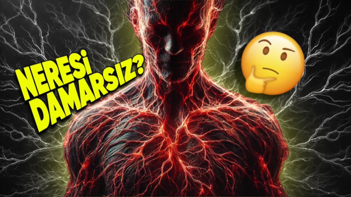 Vücudumuzda Kan Damarı Olmayan Tek Yer Neresi? Eğer Orada da Olsaydı Hayatımız Çok Farklı Olabilirdi!