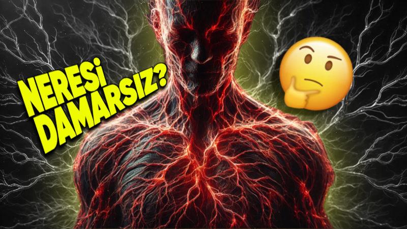 Vücudumuzda Kan Damarı Olmayan Tek Yer Neresi? Eğer Orada da Olsaydı Hayatımız Çok Farklı Olabilirdi!