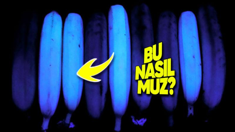 Bazı Muzlar UV Işığının Altında Neden Parıl Parıl Parlayan Fosforlu Maviye Dönüşüyor?