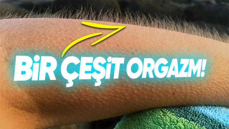 Bazı Müzikleri Dinlerken Neden Tüylerimiz Diken Diken Olur? Aslında Bu Bir Çeşit ’Orgazm’