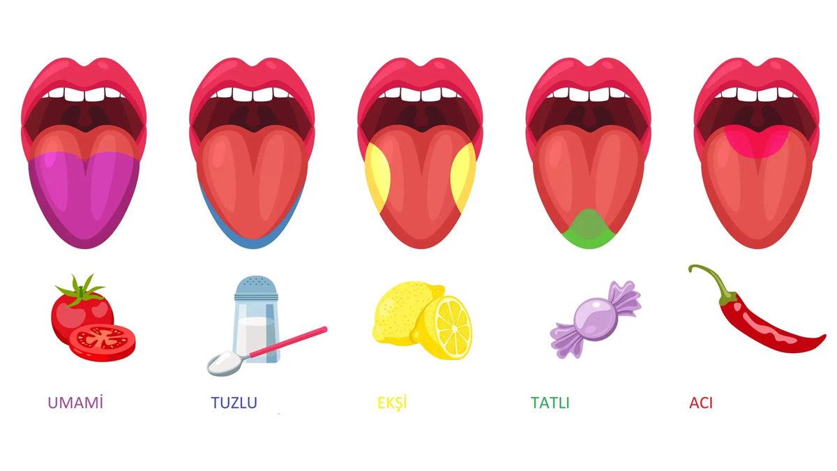 Burnumuz Tıkandığında Tat Alma Duyumuz Neden Azalıyor? Tat ve Koku İlişkisini Açıklıyoruz