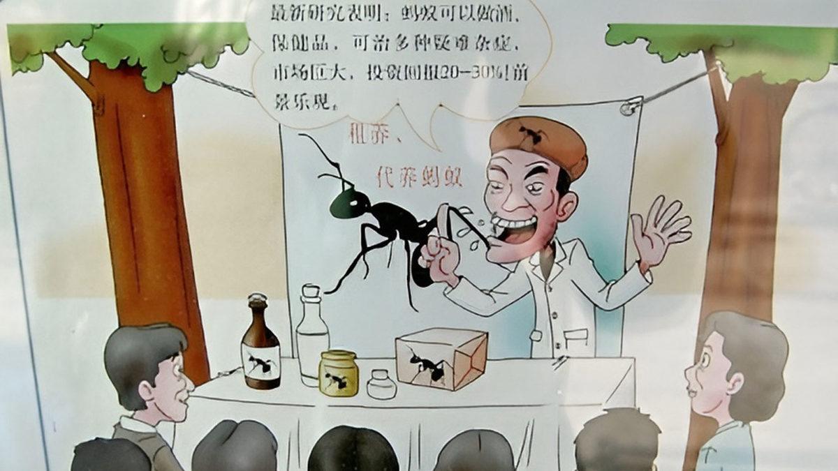 Zenginlik Vaadiyle Gelen Yıkım: Yatırımcıları Kolay Para Kazanmakla Kandıran En Büyük Ponzi Şemaları