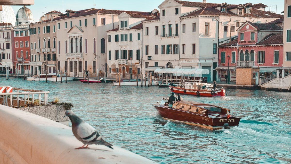 İtalya’da Güvercin Beslemenin Neden Yasak Olduğunu Öğrenince “E Çok Mantıklıymış!” Diyeceksiniz
