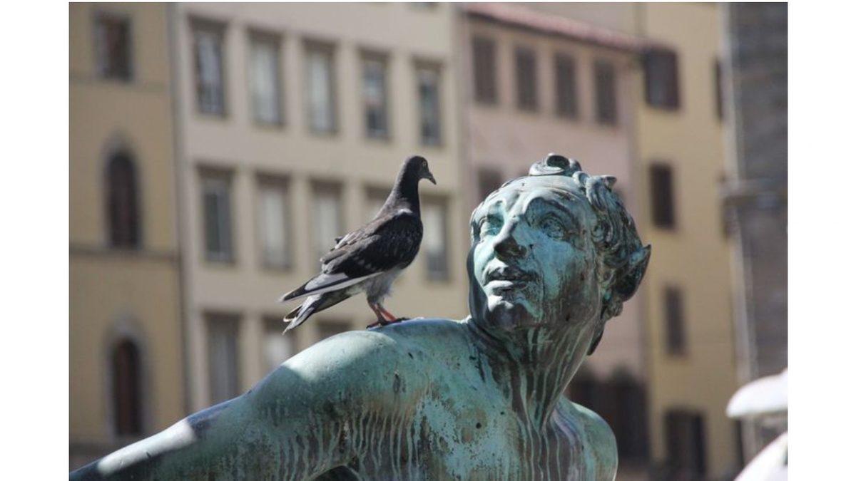 Dünyanın Farklı Ülkelerinde Uygulanan, Kulağınıza Şaka Gibi Gelecek Yasaklar