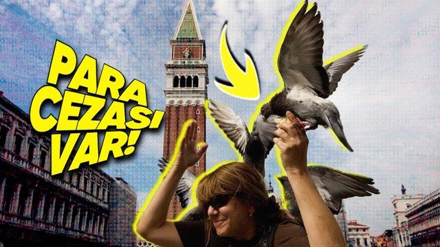 İtalya’da Güvercin Beslemenin Neden Yasak Olduğunu Öğrenince “E Çok Mantıklıymış!” Diyeceksiniz