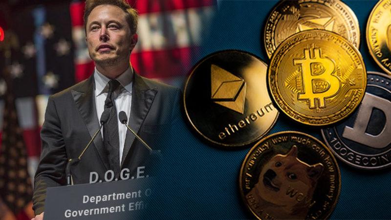 Elon Musk’ın DOGE Paylaşımı, Kripto Paraları Şaha Kaldırdı: İşte Piyasalardaki Son Durum