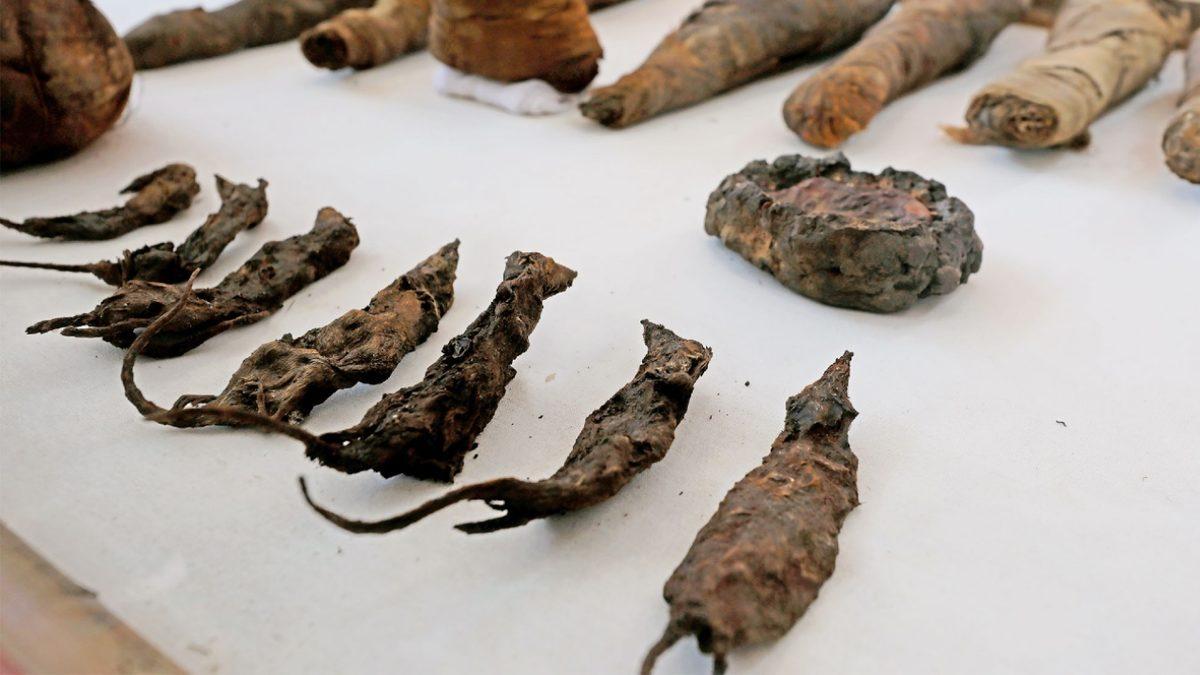 Günümüzde Olsa Linç Yerdi: Antik Mısır’da Diş Ağrısını Geçirmek İçin Kullandıkları Akılalmaz Yöntem