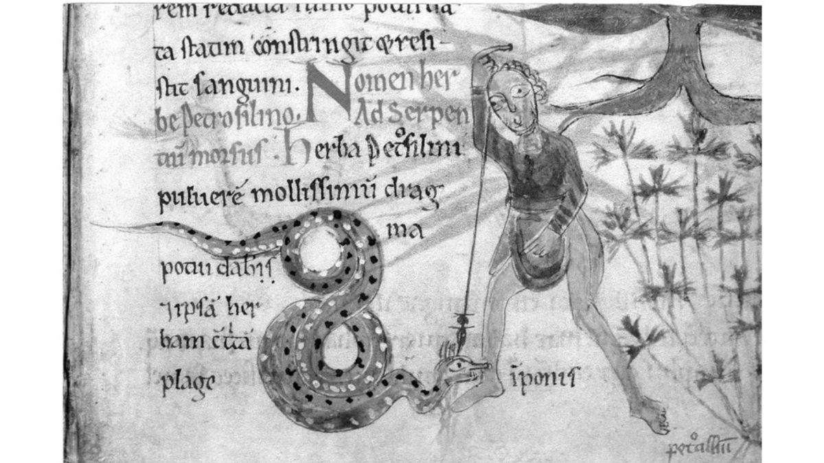 Orta Çağ’da İnsanlar Neden Bile İsteye Kendilerini Yılana Isırtıyordu?