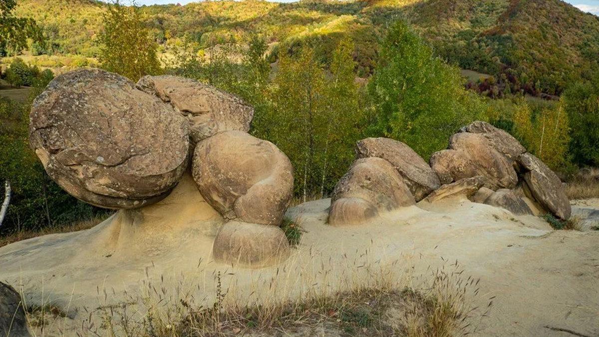 Bu Taşlar Nasıl Oluyor da Büyüyüp Çoğalabiliyor Hatta Hareket Edebiliyorlar?