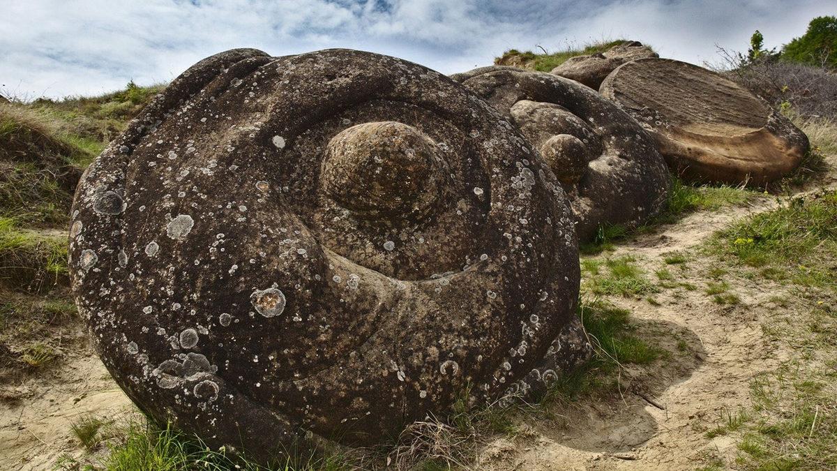 Bu Taşlar Nasıl Oluyor da Büyüyüp Çoğalabiliyor Hatta Hareket Edebiliyorlar?