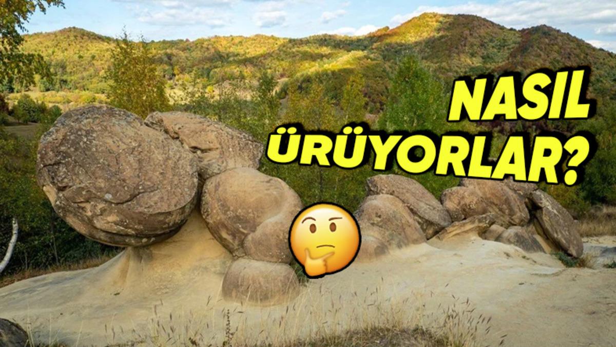 Bu Taşlar Nasıl Oluyor da Büyüyüp Çoğalabiliyor Hatta Hareket Edebiliyorlar?