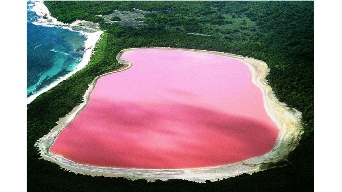 Senegal’deki Bu Göl Neden Böyle Pespembe? (Bir Canlı Sayesindeymiş!)