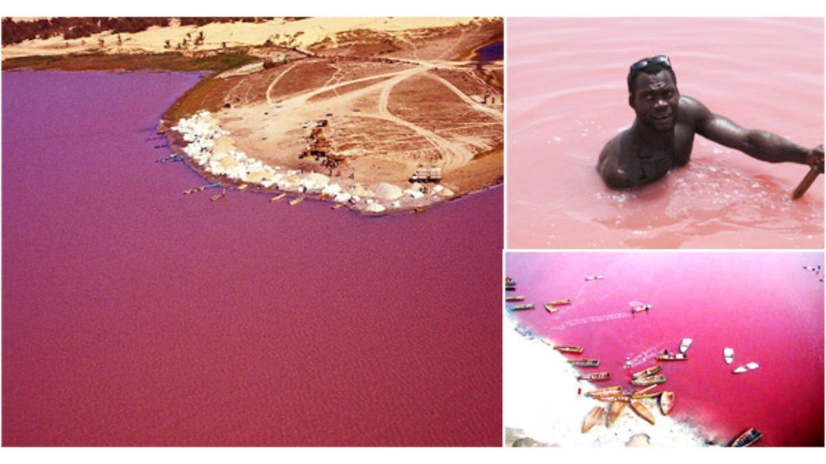 Senegal’deki Bu Göl Neden Böyle Pespembe? (Bir Canlı Sayesindeymiş!)