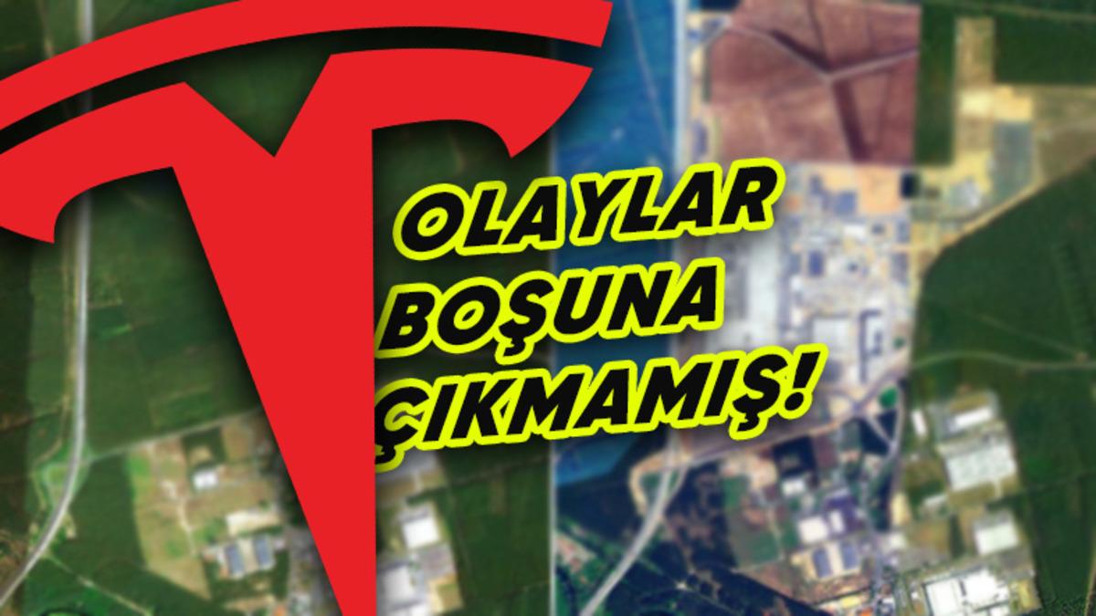 Tesla’nın Almanya’da "Çevreci" Otomobiller Üretmek İçin Doğayı Tarumar Ettiği Ortaya Çıktı: Yarım Milyon Ağaç Kesilmiş!