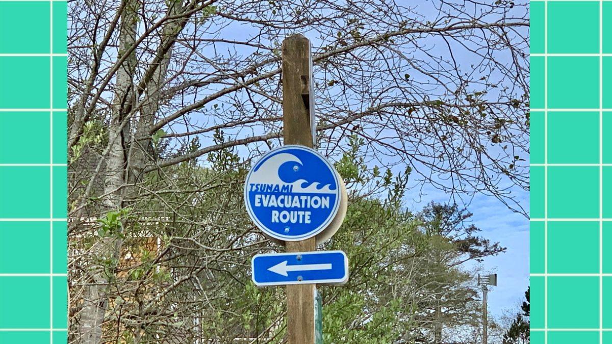 Türkiye’de Olmayıp Yurt Dışında Olan Trafik Levhaları: Bazılarını Anlamak İmkânsız!