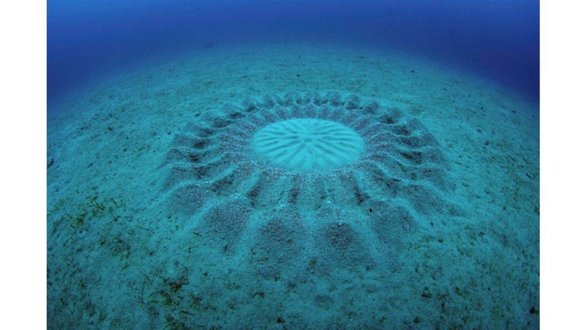 Japonya’daki Deniz Tabanında Bulunan, Kendiliğinden Belirip Kaybolan Bu Desenlerin Sırrı Ne?