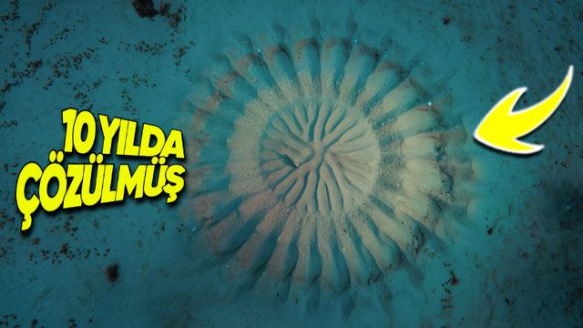 Japonya’daki Deniz Tabanında Bulunan, Kendiliğinden Belirip Kaybolan Bu Desenlerin Sırrı Ne?