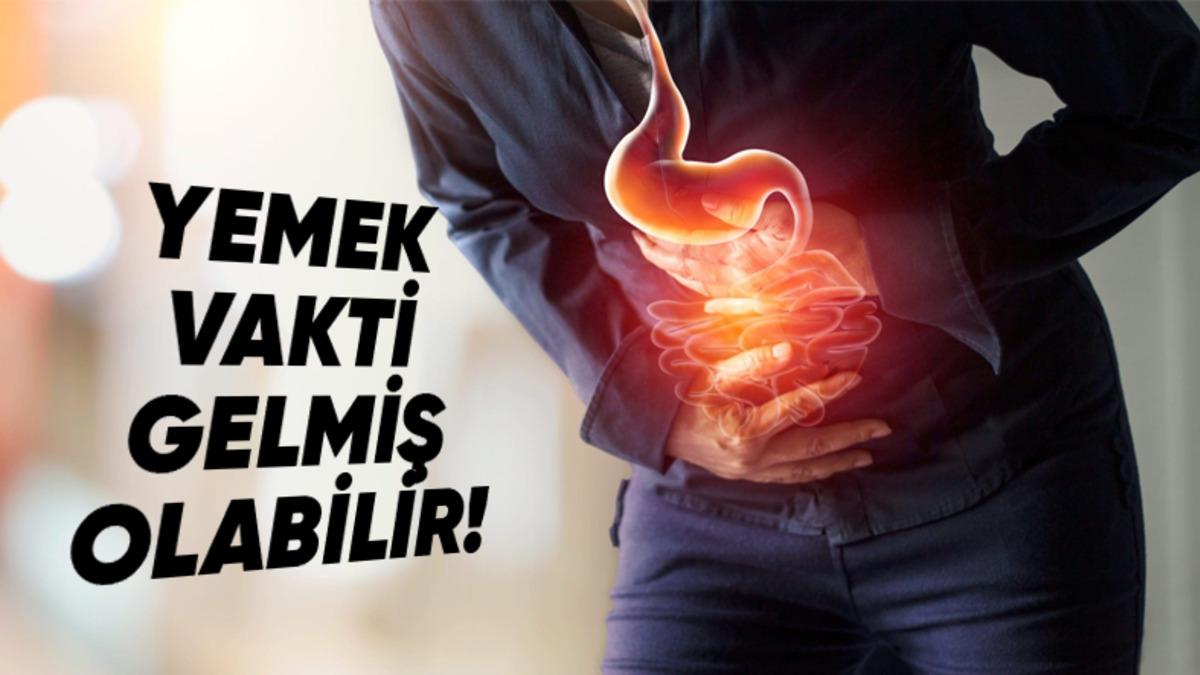 Uzun Süre Yemek Yemediğiniz Zaman Neden Midenizin Bulandığını Öğrenince Bir Daha Kendinizi Aç Bırakmayacaksınız!